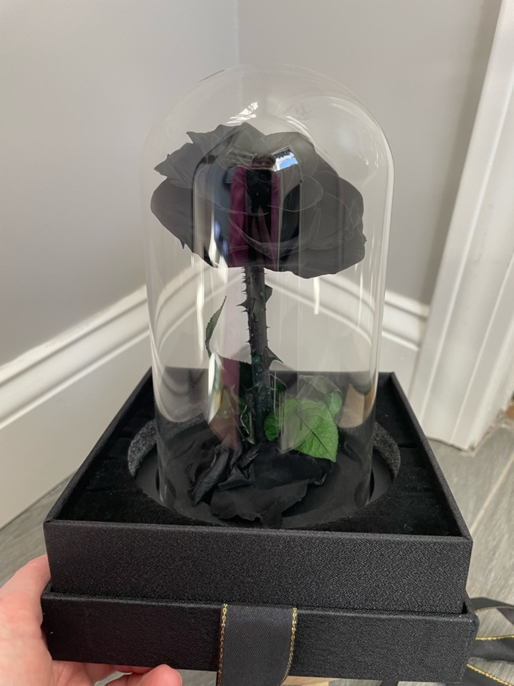 NATROSES Handmade Preserved Black Rose in Glass Dome New in Box - Picture 7 of 12